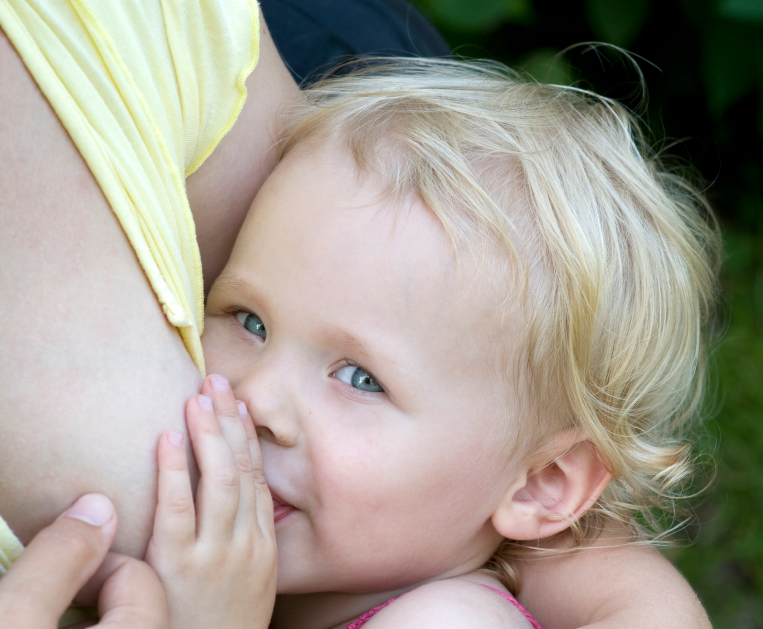 Mother Breast Feeding Her toddler in The Park.
