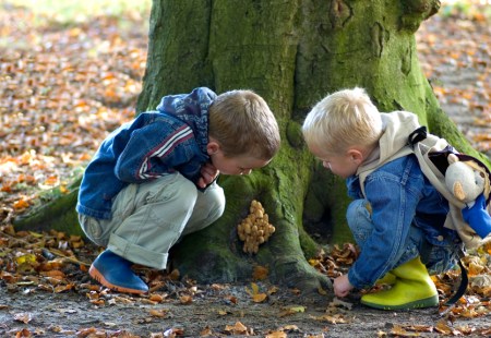 Two brothers looking at a group of mushrooms.