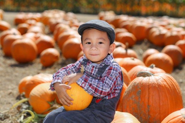 Asian boy playing at pumkin path.