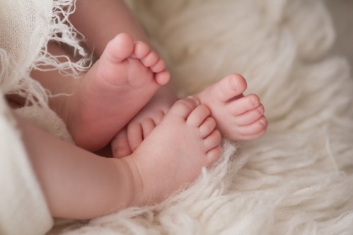 A closeup shot of the feet of twin girl babies. Shot in the studio on a sheepskin rug.
